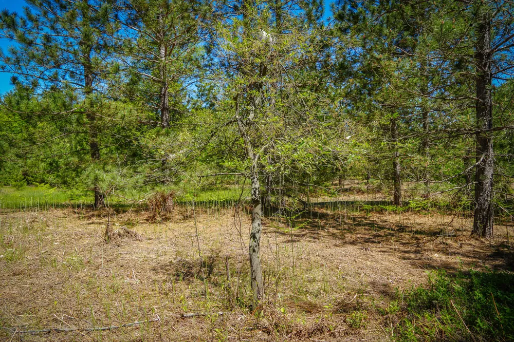 2 Makinen Road Kaleva, MI 49645