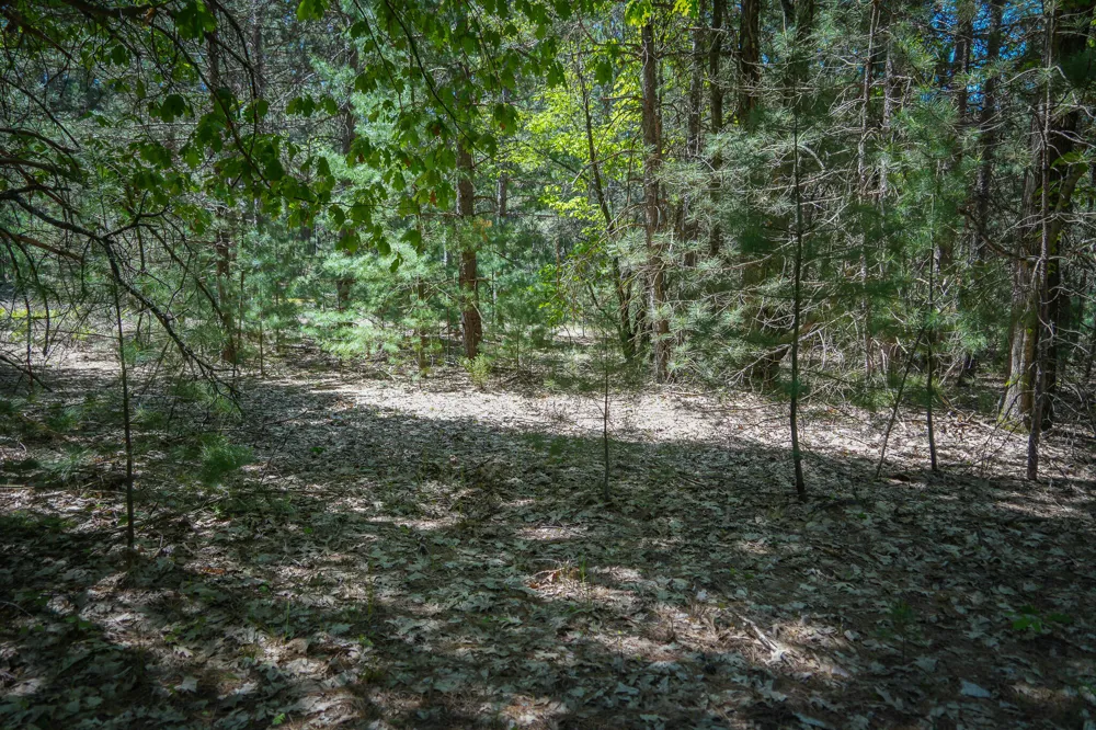 2 Makinen Road Kaleva, MI 49645