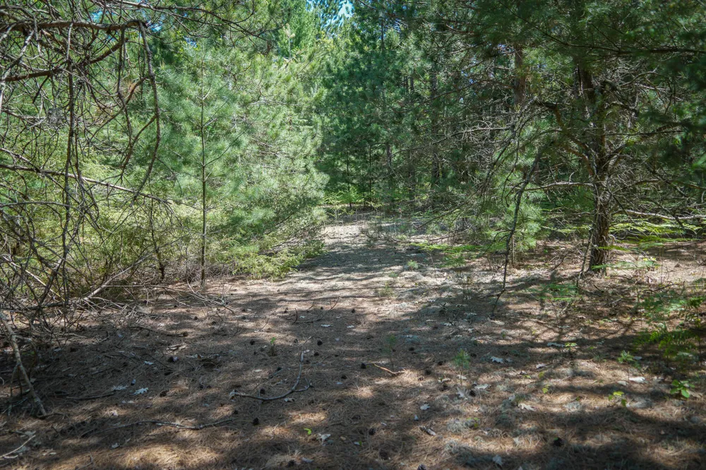 2 Makinen Road Kaleva, MI 49645