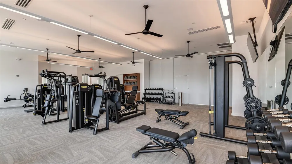 4305 ROSATTI ROAD Wesley Chapel, FL 33543