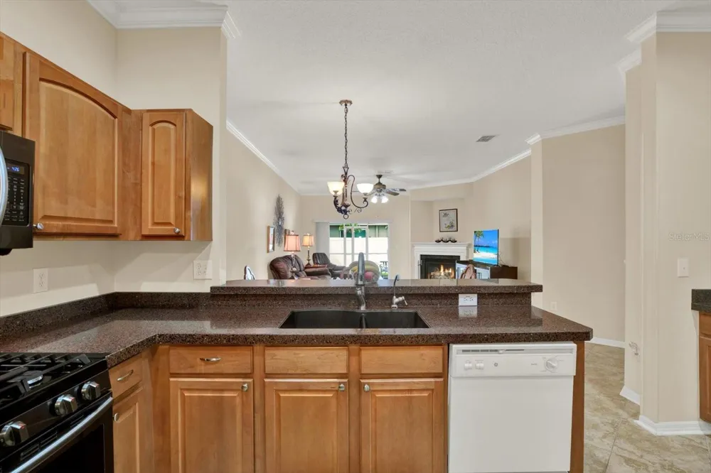 19343 HASKELL PLACE Land O Lakes, FL 34638