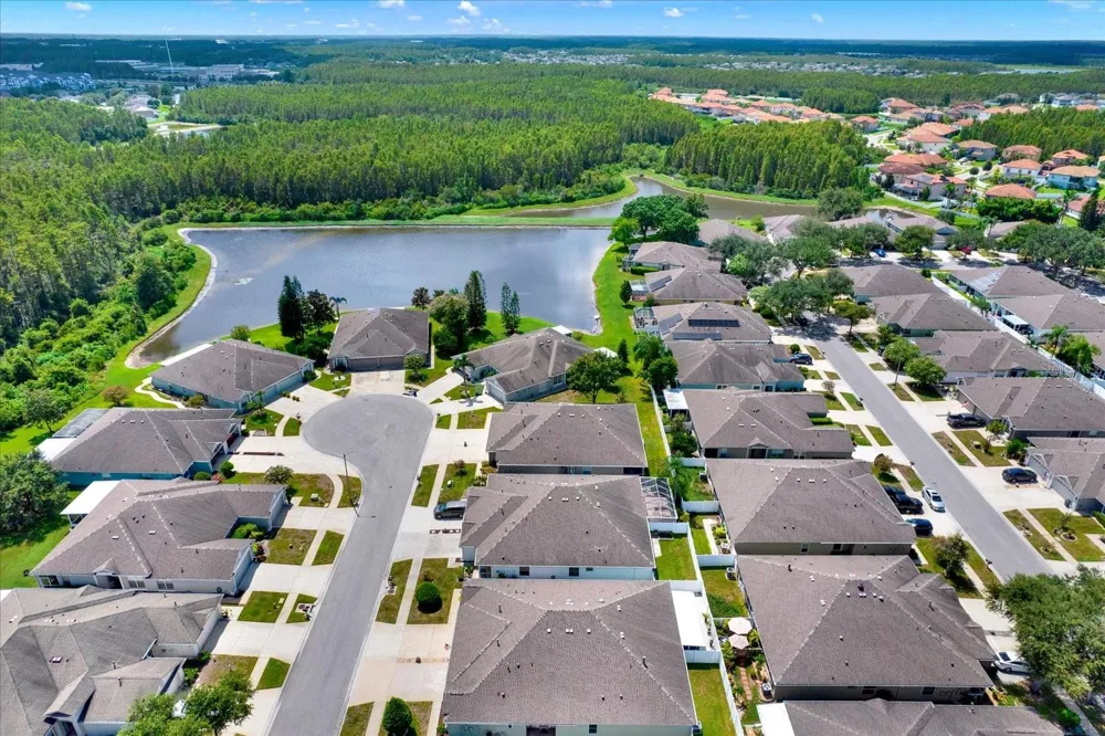 19343 HASKELL PLACE Land O Lakes, FL 34638