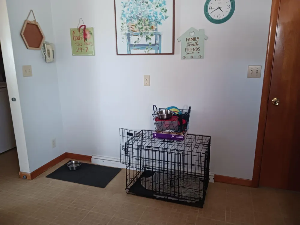 419 Washington Avenue Ludington City, MI 49431