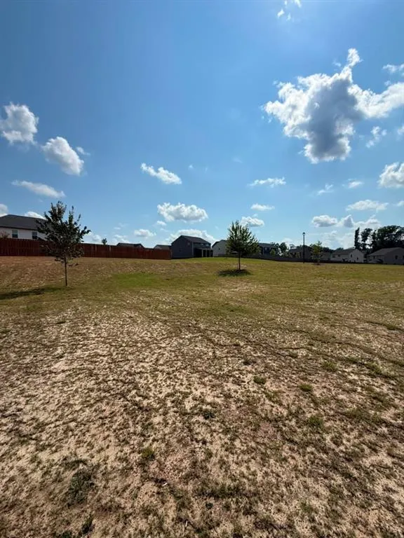 1104 Laflor Way McDonough, GA 30253