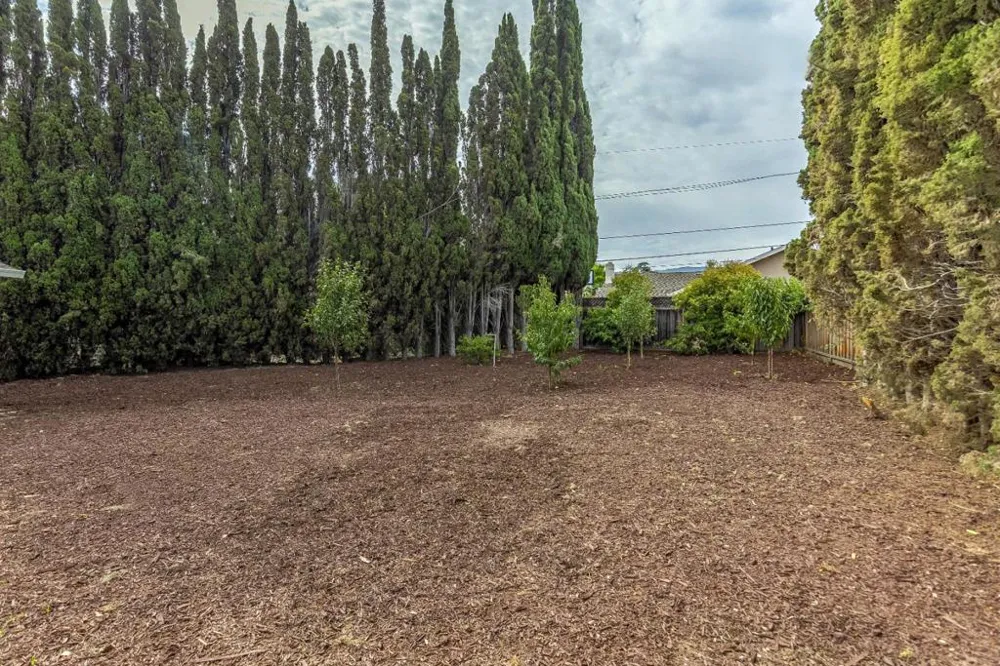 3449 Browning Avenue San Jose, CA 95124