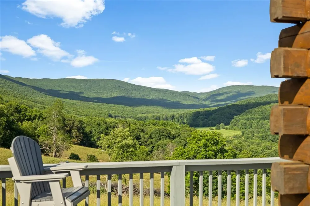 490 Mountain Springs Rd Tannersville, VA 24377