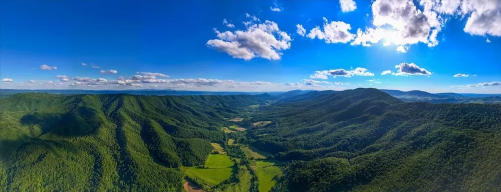 490 Mountain Springs Rd Tannersville, VA 24377