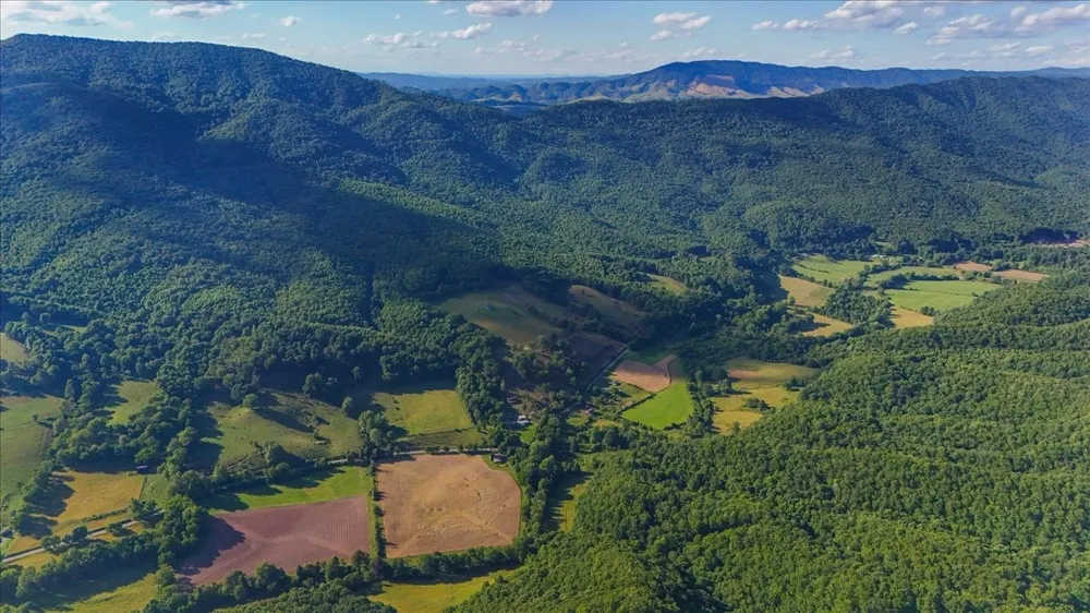 490 Mountain Springs Rd Tannersville, VA 24377