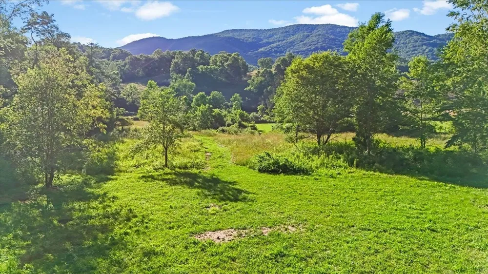 490 Mountain Springs Rd Tannersville, VA 24377