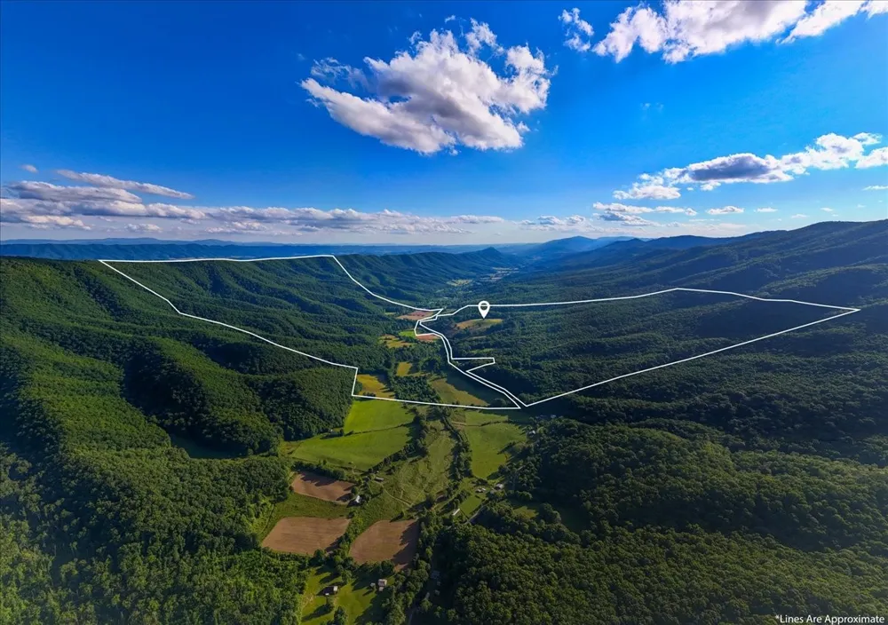 490 Mountain Springs Rd Tannersville, VA 24377