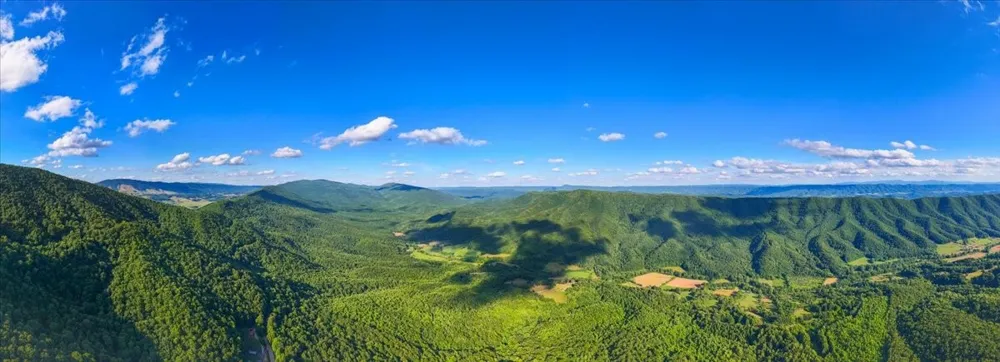 490 Mountain Springs Rd Tannersville, VA 24377
