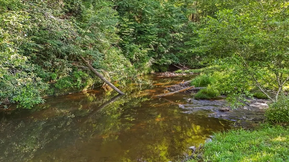 490 Mountain Springs Rd Tannersville, VA 24377