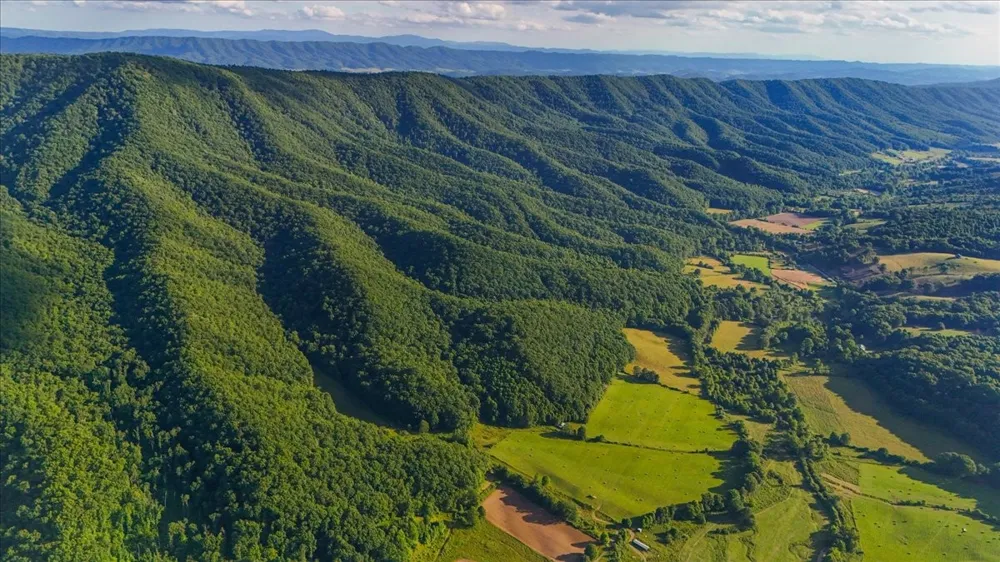 490 Mountain Springs Rd Tannersville, VA 24377