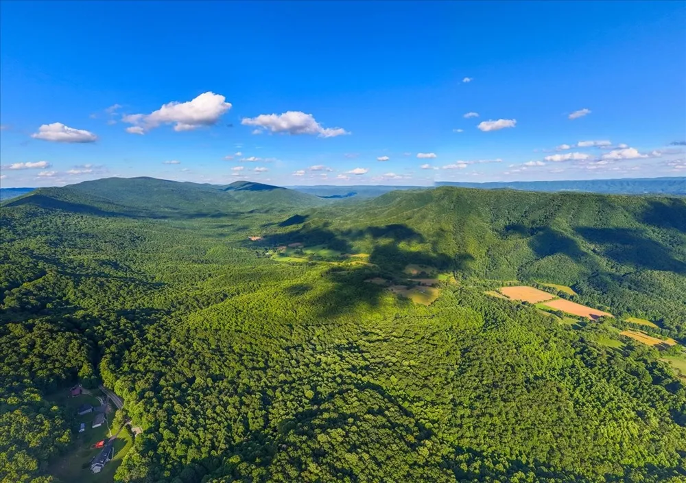 490 Mountain Springs Rd Tannersville, VA 24377