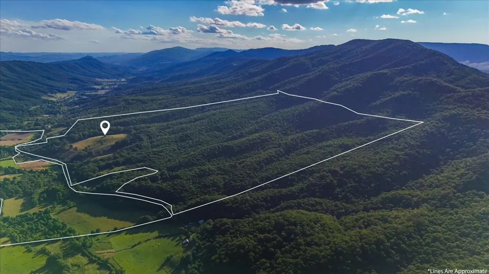 490 Mountain Springs Rd Tannersville, VA 24377