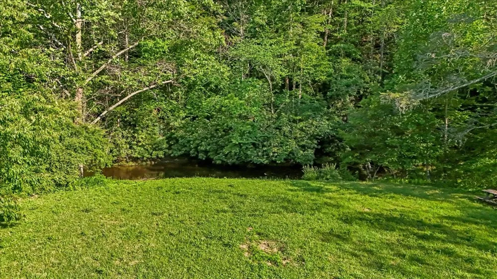 490 Mountain Springs Rd Tannersville, VA 24377