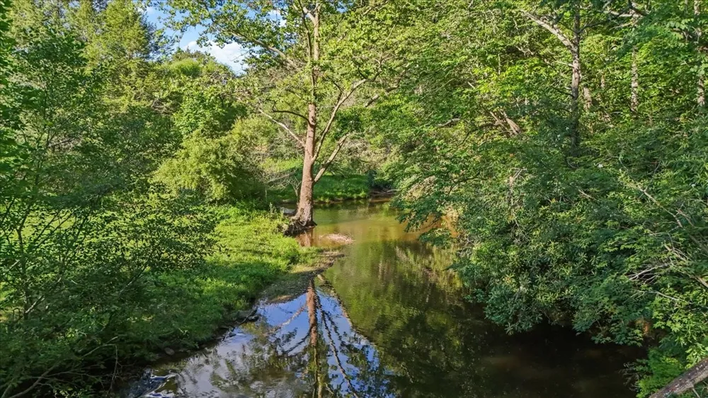 490 Mountain Springs Rd Tannersville, VA 24377