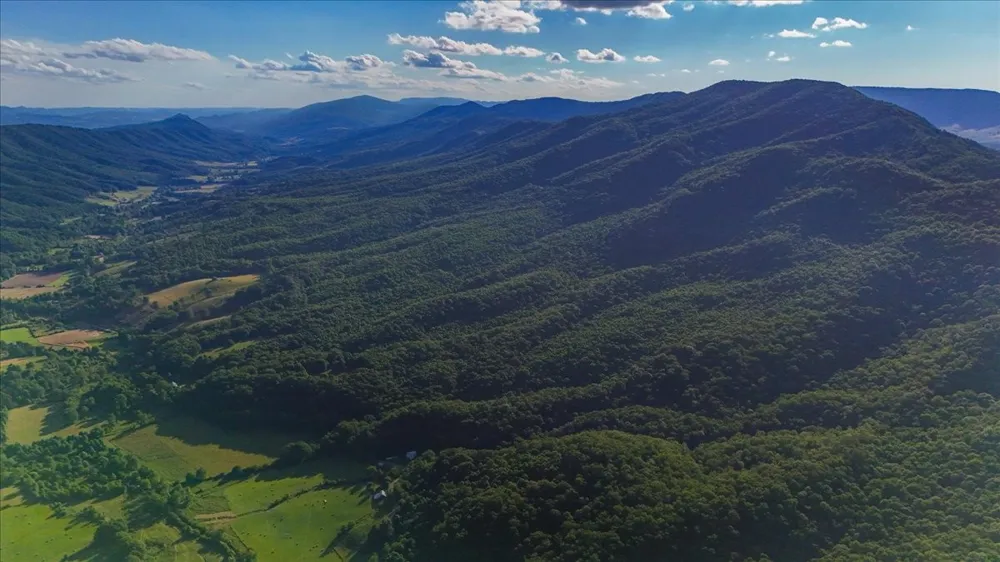 490 Mountain Springs Rd Tannersville, VA 24377