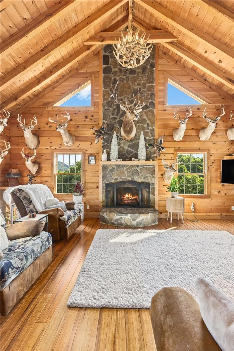 490 Mountain Springs Rd Tannersville, VA 24377