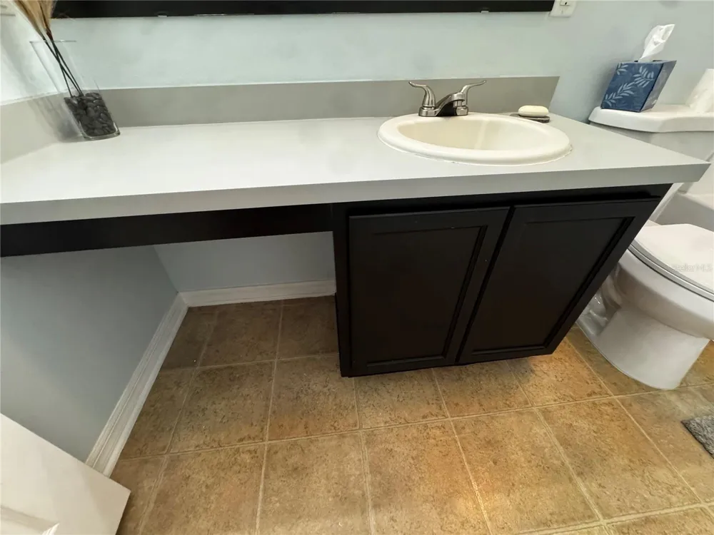 10851 KENSINGTON PARK AVENUE Riverview, FL 33578