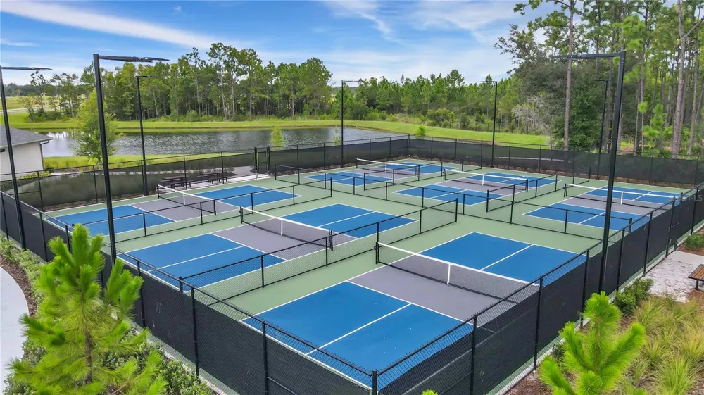 22547 STORYBOOK CABIN WAY Land O Lakes, FL 34637