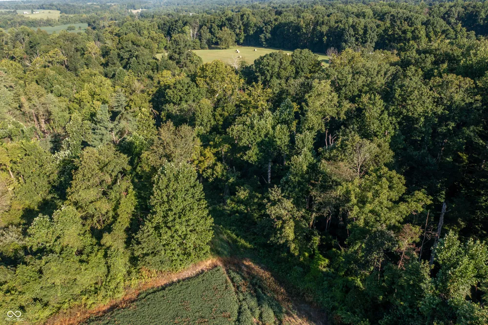 1196 Hoot Road Spencer, IN 47460