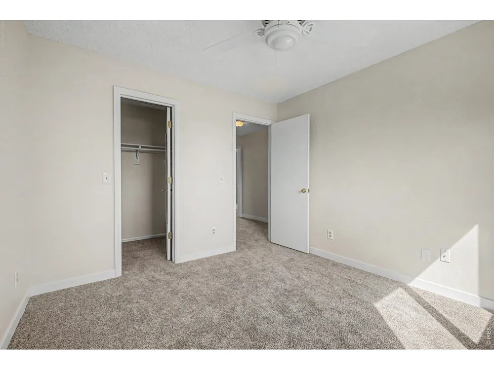 1178 Deckers Place Castle Rock, CO 80104