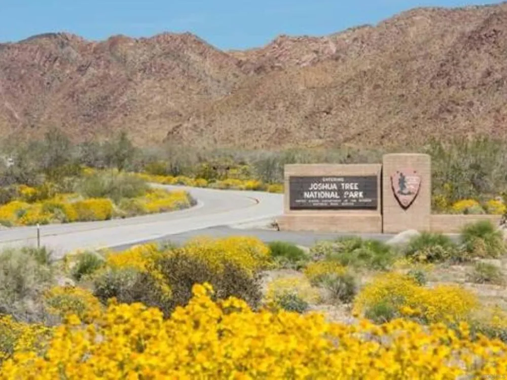 8022 Wesley Rd Joshua Tree, CA 92252