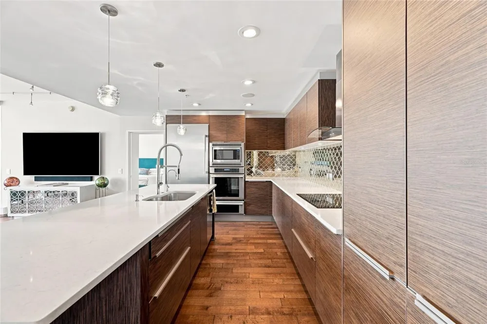 175 1ST STREET S #2701 St Petersburg, FL 33701