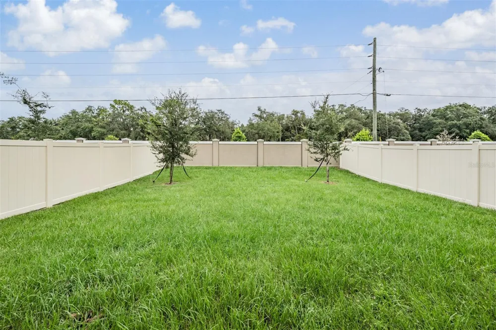 10112 BRANCHING SHIP TRACE Wesley Chapel, FL 33545