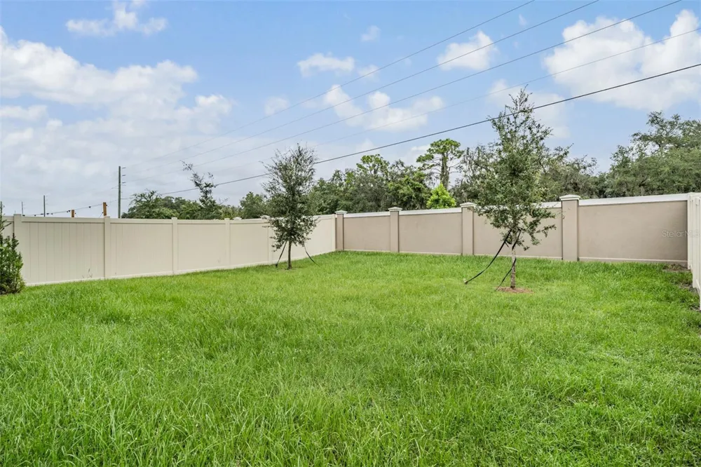10112 BRANCHING SHIP TRACE Wesley Chapel, FL 33545