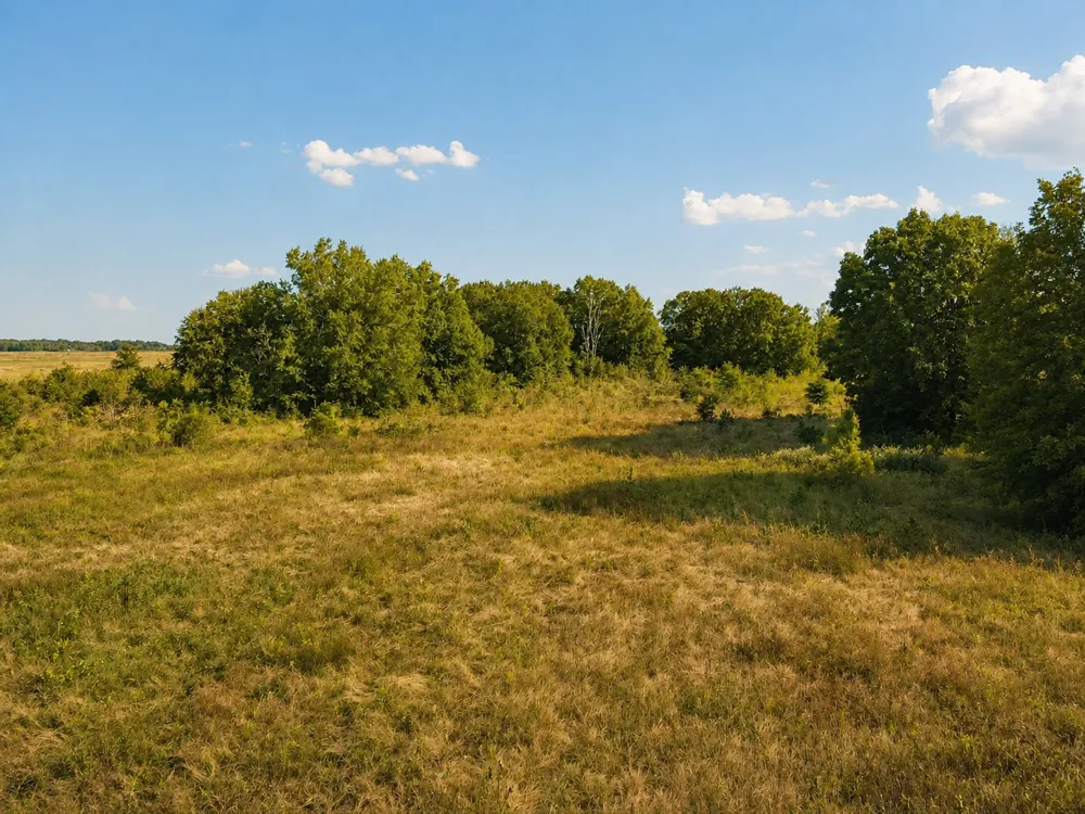 FM 410 Detroit, TX 75436