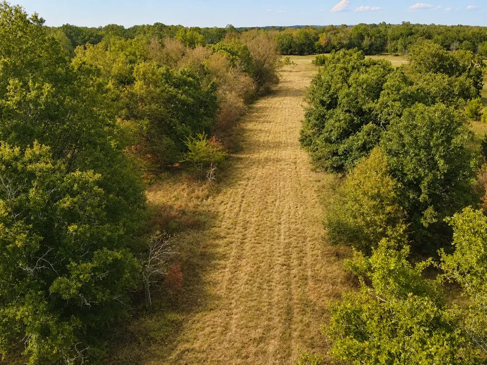 FM 410 Detroit, TX 75436