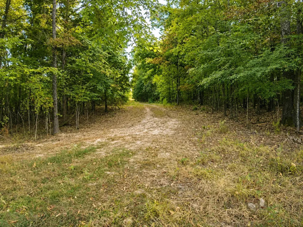 FM 410 Detroit, TX 75436
