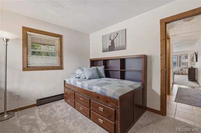 468 Piney Acres Circle Dillon, CO 80435