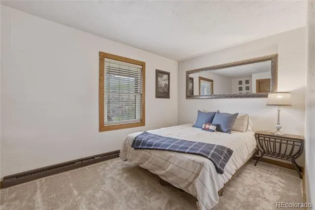 468 Piney Acres Circle Dillon, CO 80435
