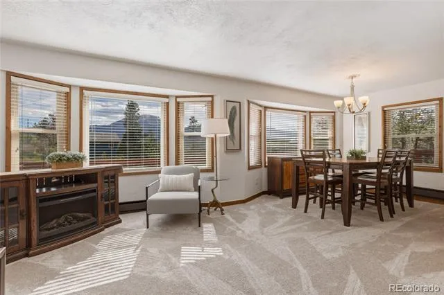 468 Piney Acres Circle Dillon, CO 80435