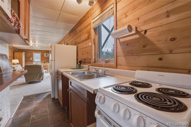 468 Piney Acres Circle Dillon, CO 80435