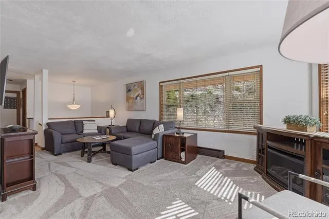 468 Piney Acres Circle Dillon, CO 80435