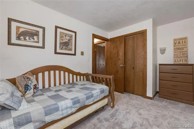 468 Piney Acres Circle Dillon, CO 80435