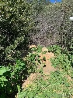 Hillside Chino Hills, CA 91709