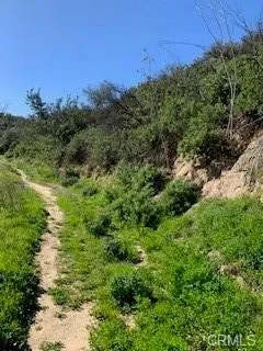 Hillside Chino Hills, CA 91709