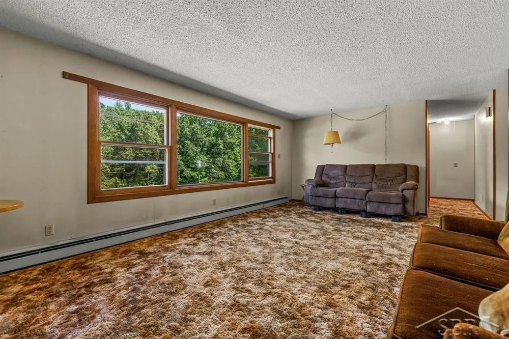 3314 Genrich Drive Jerome Township, MI 48657