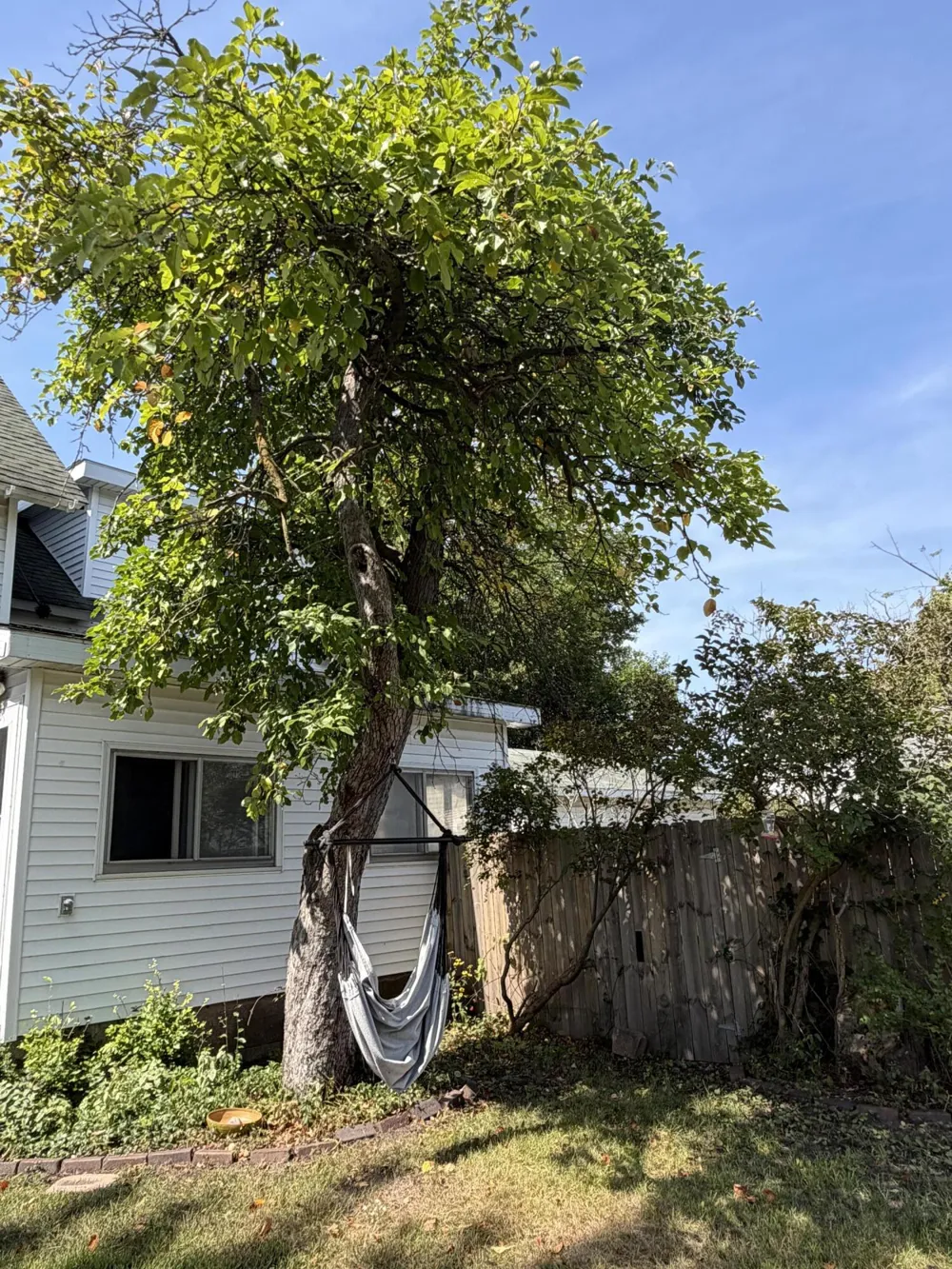 278 2nd Avenue Manistee City, MI 49660