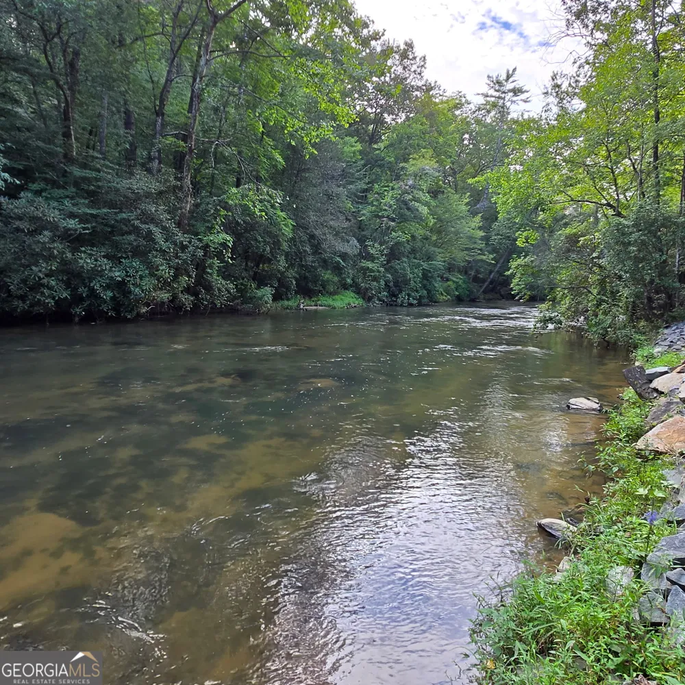 46 Private DR Ellijay, GA 30536