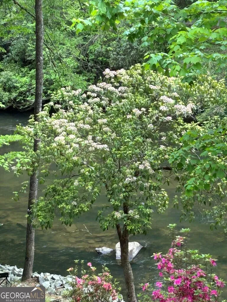 46 Private DR Ellijay, GA 30536