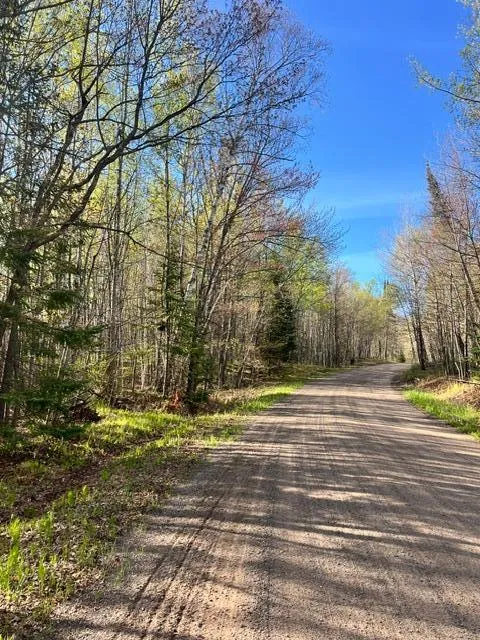 TBD Baich Dr Coleraine, MN 55722