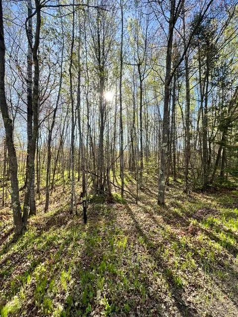 TBD Baich Dr Coleraine, MN 55722