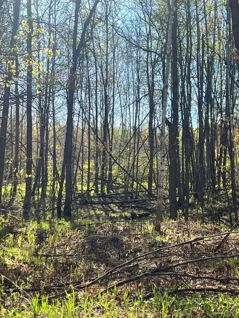 TBD Baich Dr Coleraine, MN 55722