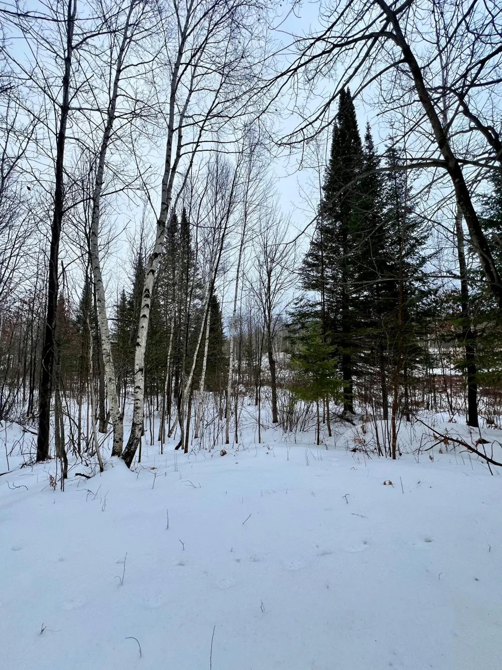 101 Baich Drive Coleraine, MN 55722